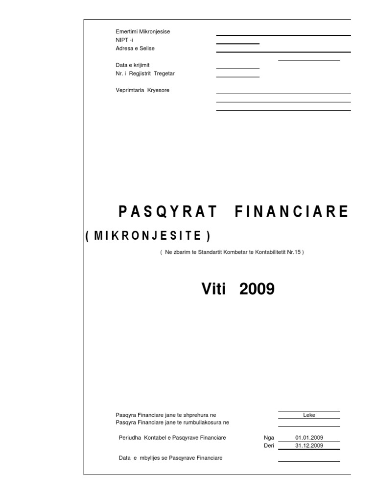 Model Bilanci I Biznesit Te Vogel | PDF