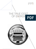 The true cost of energy