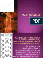 acizii_nucleici.