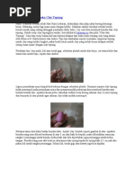 Download Cara Membuat Boneka Clay Tepung by bakti rahayu SN106840214 doc pdf