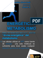 Energética y Metabolismo