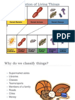 Classification 2012