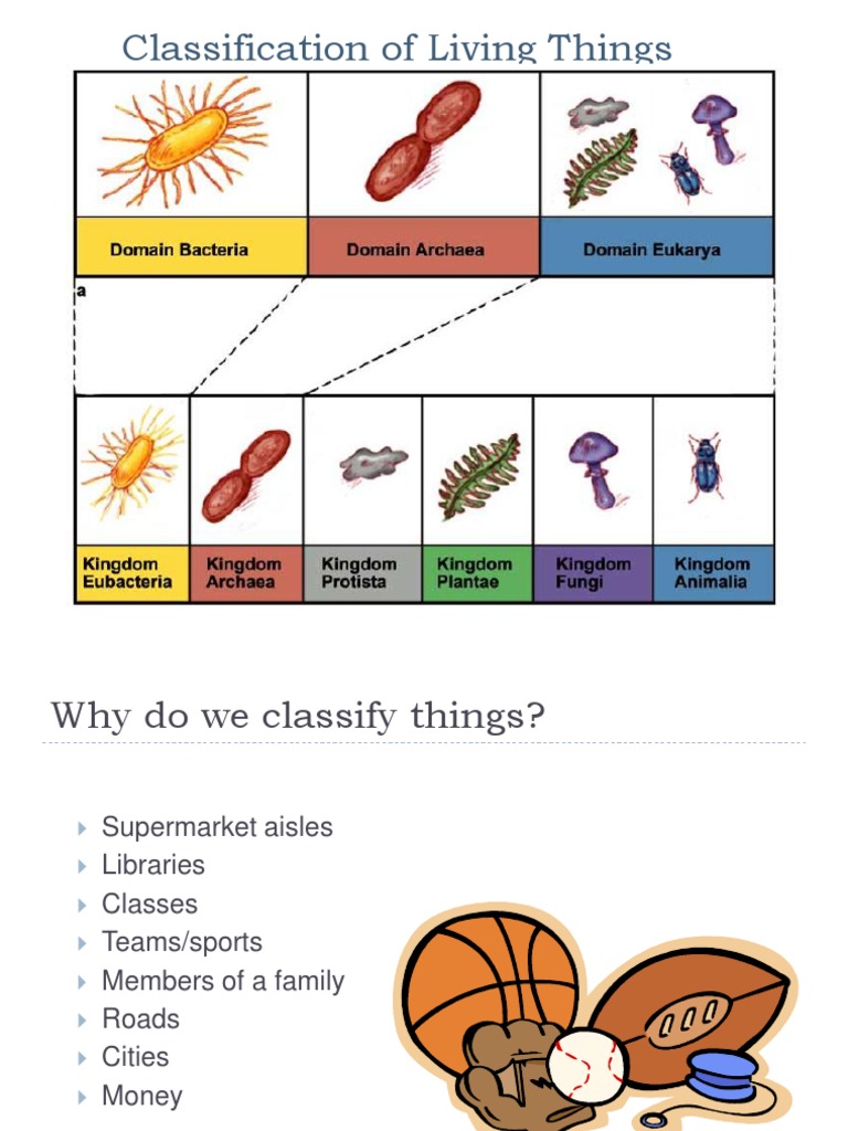 what is plant taxonomy in biology