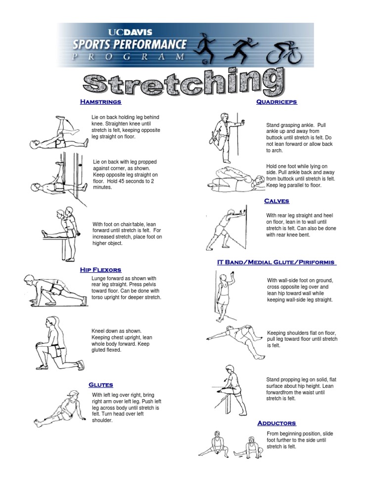Comprehensive Leg Stretch Guide | PDF