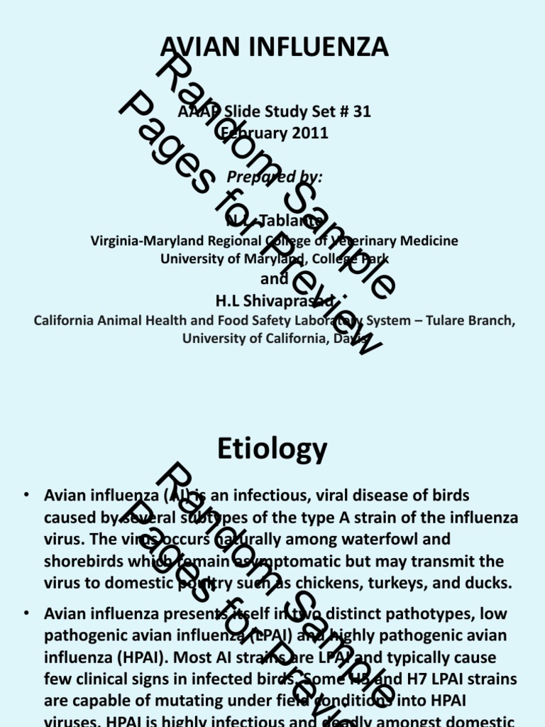 Random Sample Pages For Preview: Avian Influenza | PDF