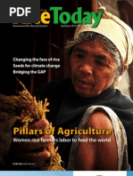 Download Rice Today Vol 10 No 2 by Rice Today SN106884550 doc pdf