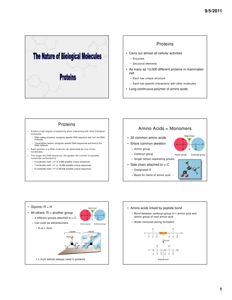 3 - Cell Biology - Proteins - 6 Per Page | PDF | Protein Structure ...