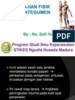 Pengkajian Fisik Sistem Integumen