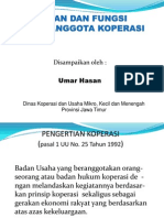 Pp-Peran &amp Fungsi Ra