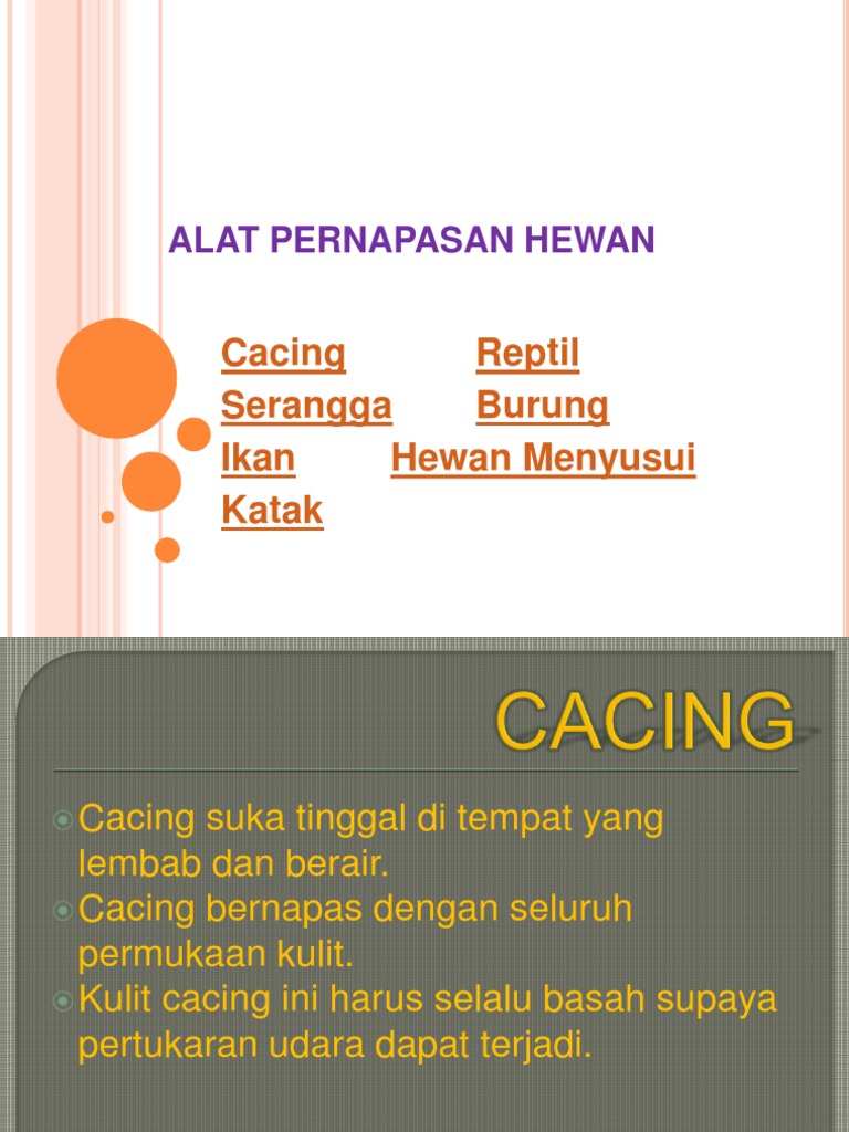 Alat Bantu Pernapasan Burung Pada  Waktu Terbang Adalah 