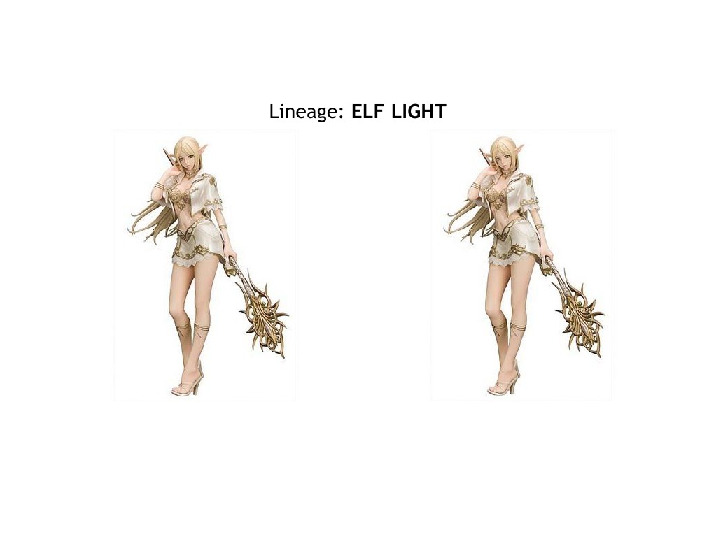 Lineage | PDF