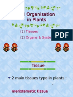 Bio Form4 Cell Organisation in Plants