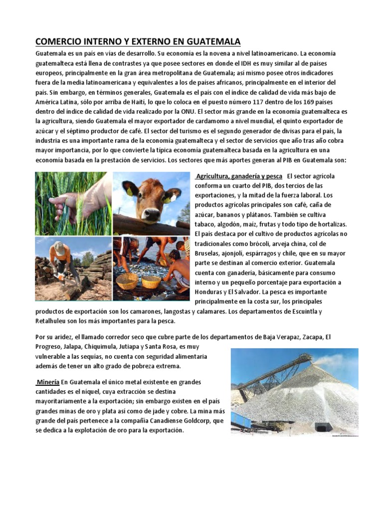 Comercio Interno Y Externo En Guatemala Guatemala Comercio