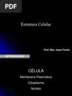 Aula 1 BCM Citologia