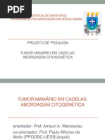 apresentção projeto citogenética