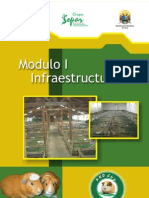 MODULO 1 Infraestructura Para Cuyes