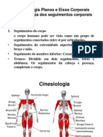 Cinesiologia Planos Eixos Movimentos