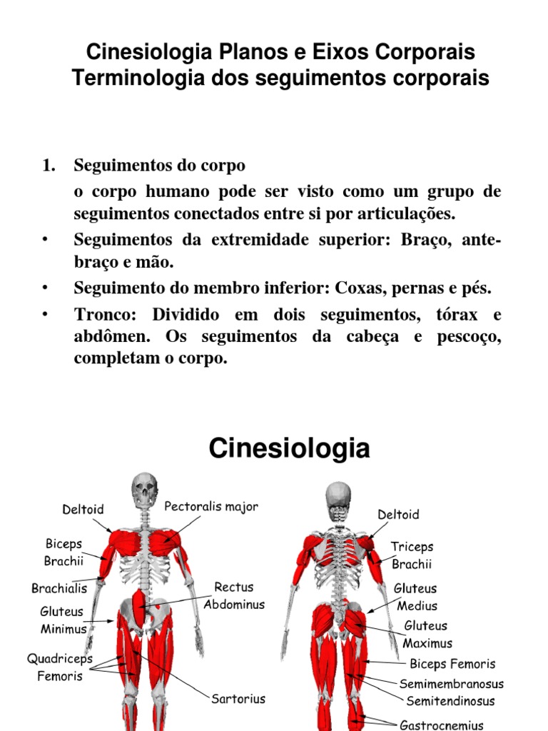 Defina Eixos Corporais A Partir De Um Desenho
