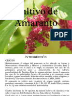 Cultivo de Amaranto