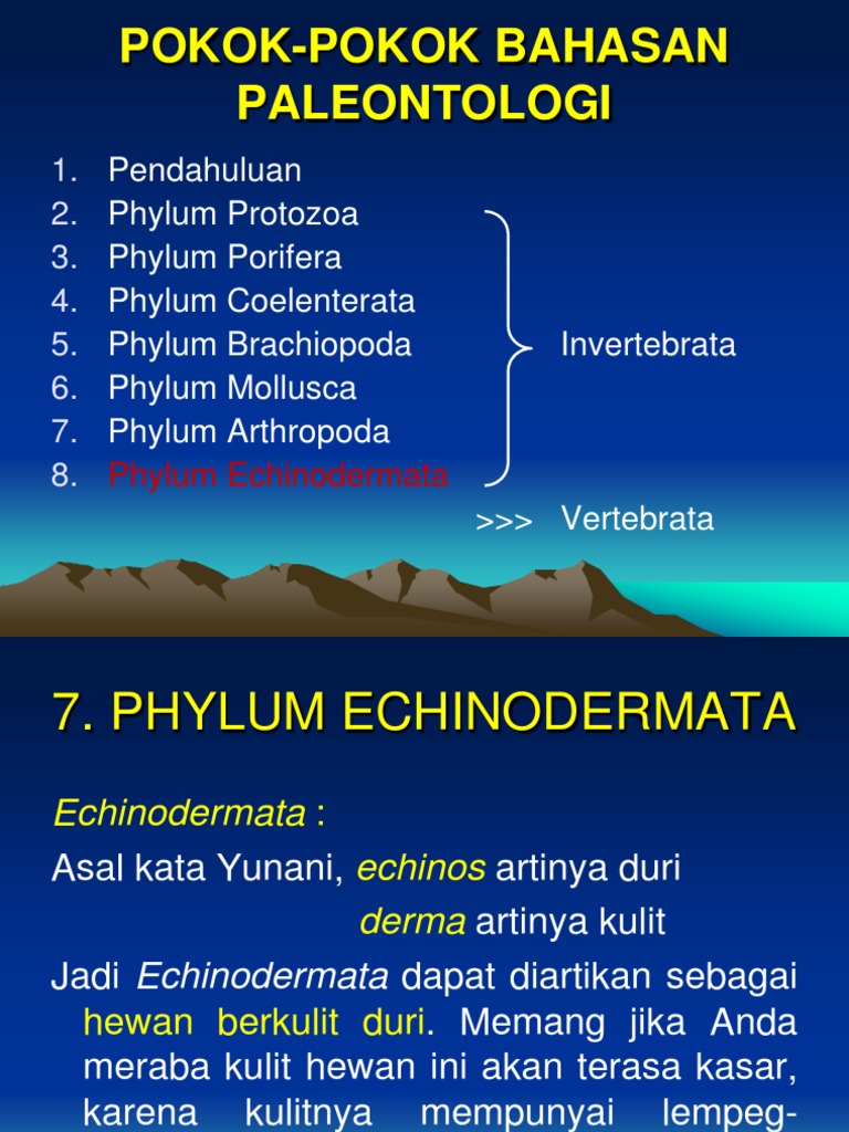 1503 Echinodermata