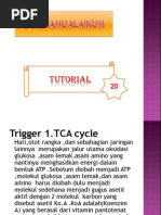 Download TCA cycle by Ellya Rismayan Sari SN107049887 doc pdf