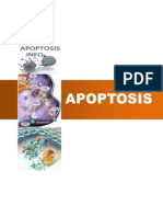 Apoptosis