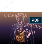 Digestive System: Click To Edit Master Subtitle Style