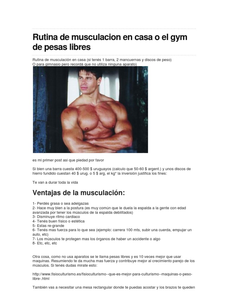 Rutina de Musculacion en Casa o El Gym de Pesas Libres, PDF, Anatomía  humana