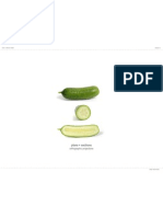 Plans + Sections: Orthographic Projections