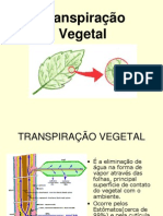 Transpiração Vegetal