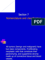 Nomenclature and Classification of Tumors