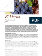 Merlot -Ficha El Mundo Del Vino Jun 2012