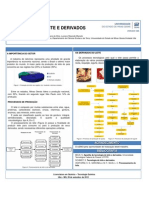 Baner - Leite e Derivados - Luiz, Dani e Tati.ppt - Corrigido Pela Luciana