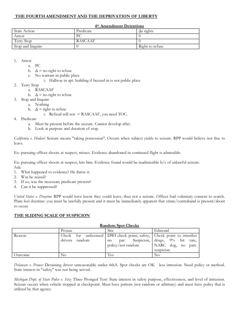 What type of searches and seizures are protected against under the fourth amendment picture