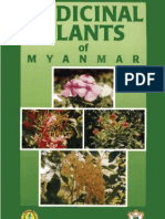 Medical Plants of Myanmar