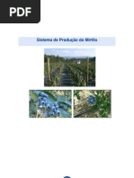 MIRTILO - Embrapa