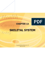 Skeletal System: Rights Reserved