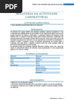 Identificar Propriedades Ópticas dos Minerais