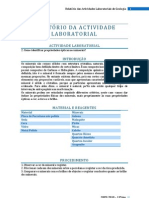 Identificar Propriedades Ópticas Dos Minerais