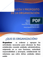 NATURALEZA Y PROPOSITO DE LA ORGANIZACIÓN