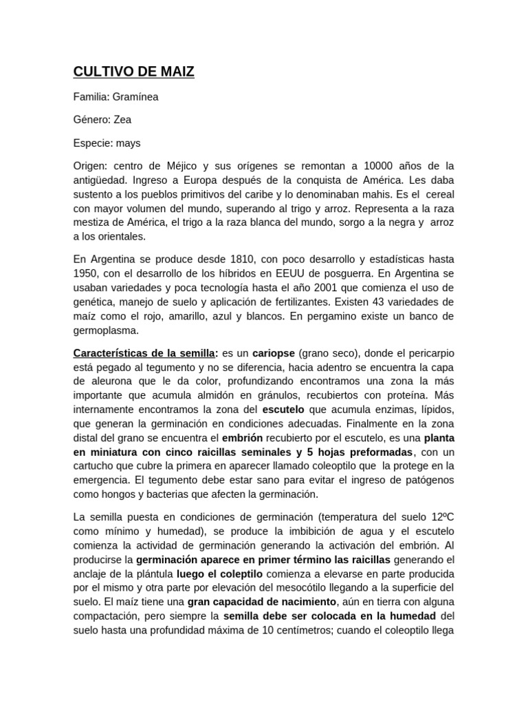Teorico MAÍZ | PDF | Híbrido (biología) | Semilla
