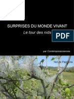 Surprises Du Monde Vivant - Le Tour Des Nids