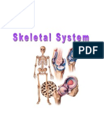 011 Skeletal System