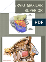 Nervio Maxilar Superior Ak