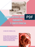 Cordon Umbilical y Circulacion Placentaria