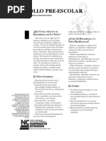 Desarrollo Preescolar