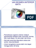 PMX Segmen Anterior