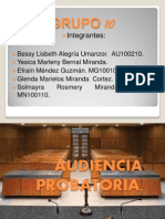 Diapositivas Audiencia Probatoria