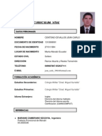 Curriculum Vitae en Español