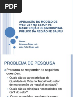 APLICAÇÃO DO MODELO DE WESTLEY NO SETOR DE MANUTENÇÃO DE UM HOSPITAL PÚBLICO DA REGIÃO DE BAURU